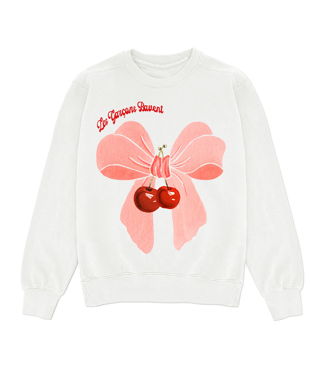 It Means Boys Drool Crewneck