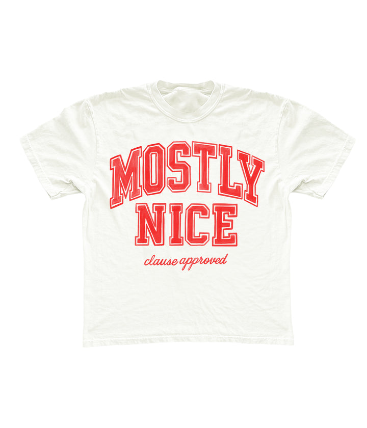 Mostly Nice Tee