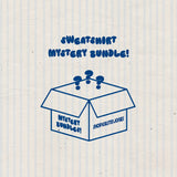 skj Mystery Bundle - 2 Sweatshirt Set - ONE PER PERSON/ HOUSE/ FAMILY