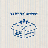 skj Mystery Bundle - 2 Tee Set - ONE PER PERSON/ HOUSE/ FAMILY
