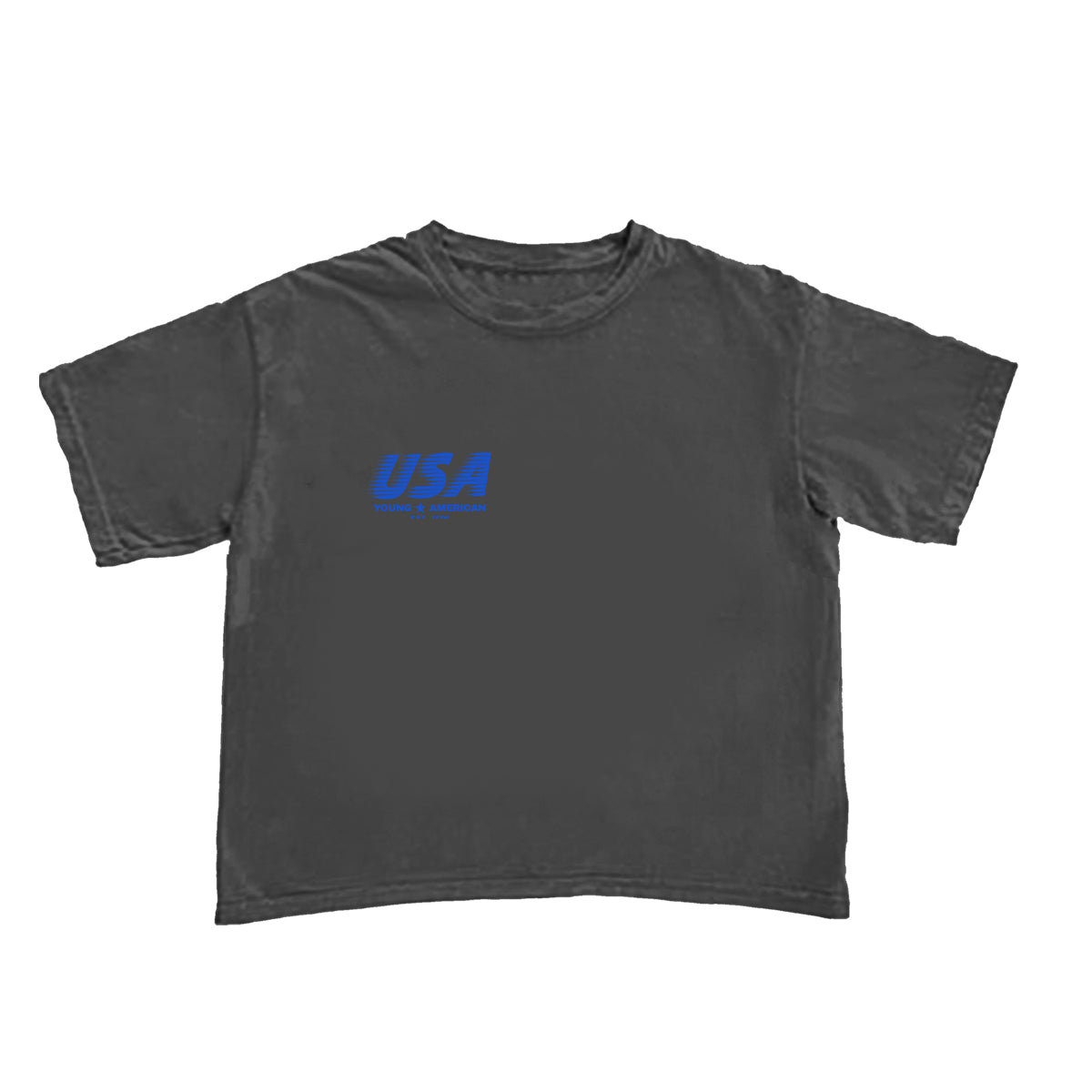 USA Cropped Boxy Tee